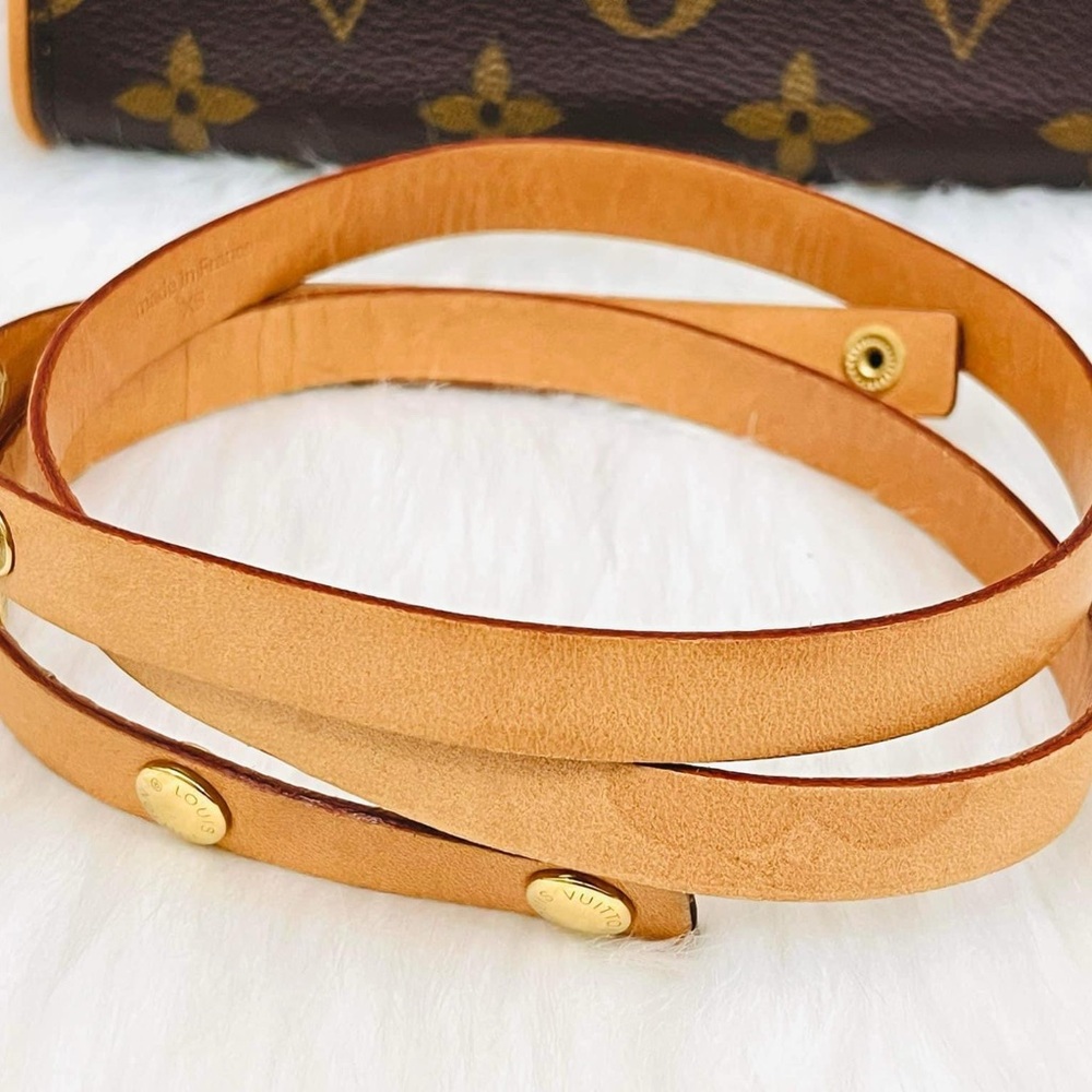 Louis Vuitton Florentine Belt Bag - Picture 9 of 12